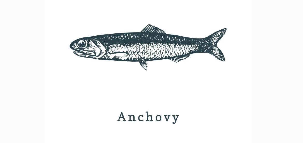 Anchovy Selection