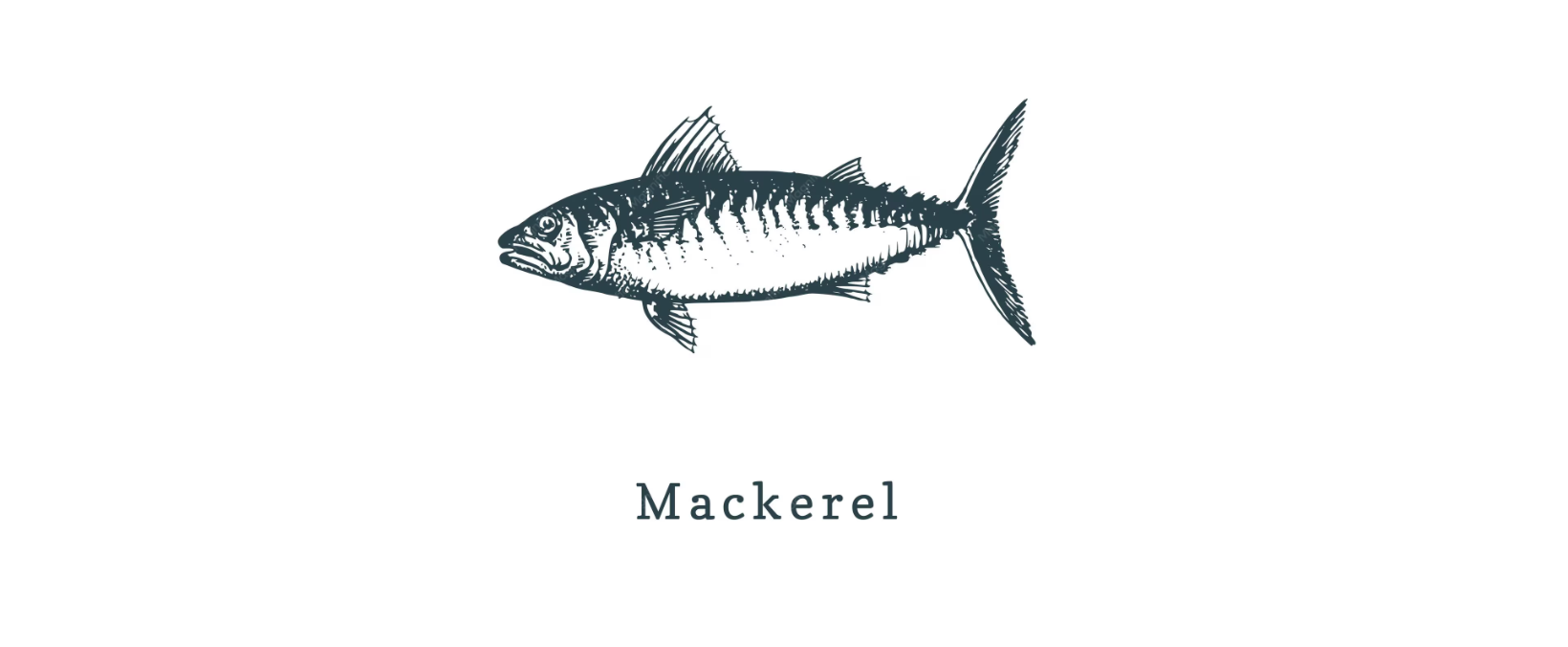 Mackerel Selection